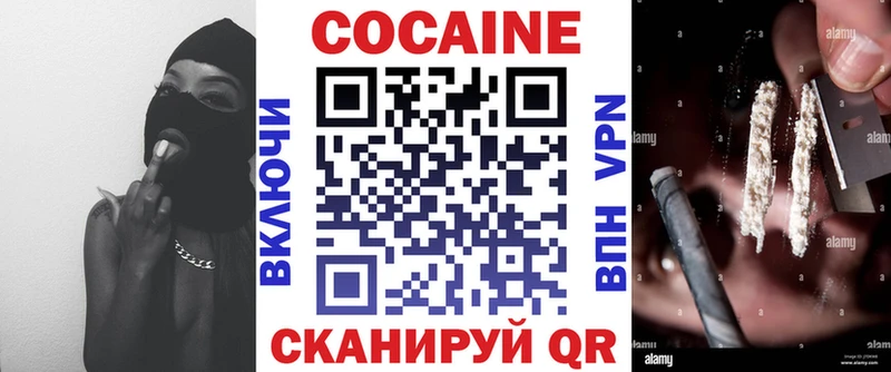 как найти закладки  Рассказово  Кокаин Fish Scale 