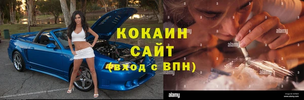 крисы Армянск