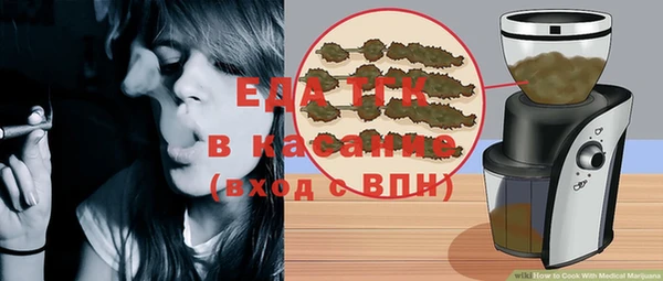 спиды Ельня
