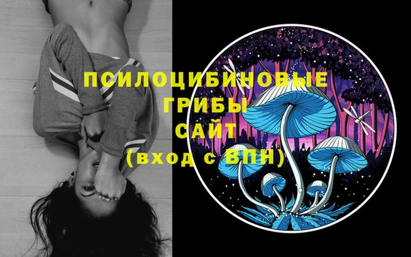 дурь Аркадак