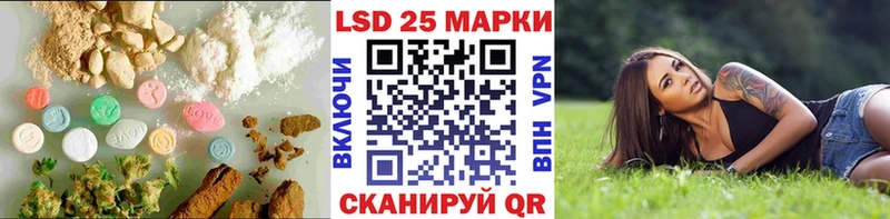 kraken ONION Рассказово Лсд 25 экстази кислота